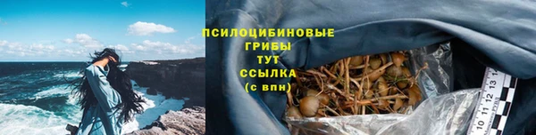 мдпв Лиски