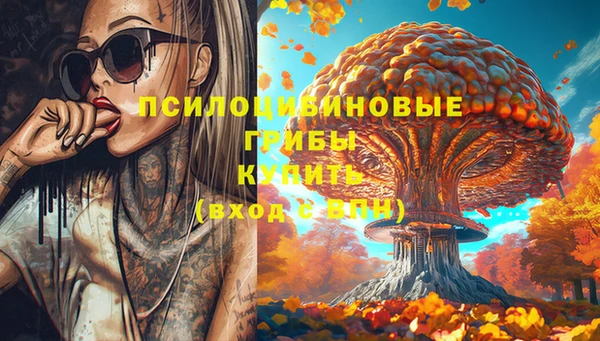 амф Магас